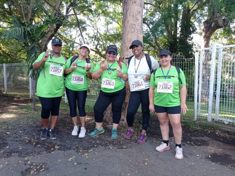 Description visuelle de l'image