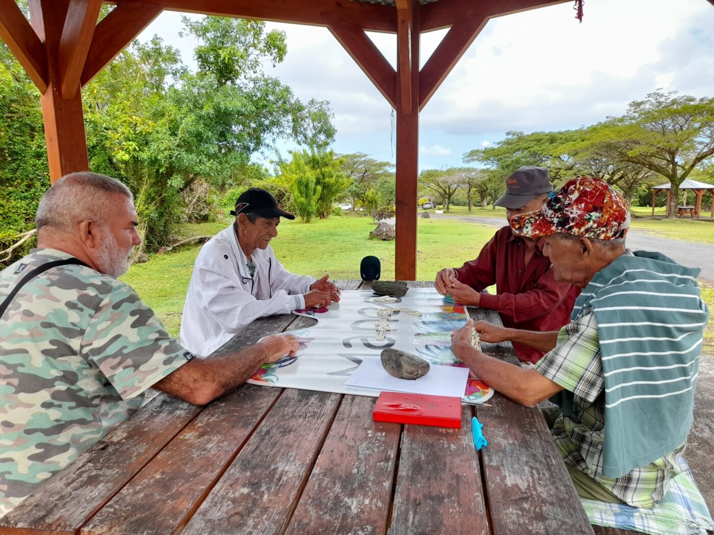 Description visuelle de l'image