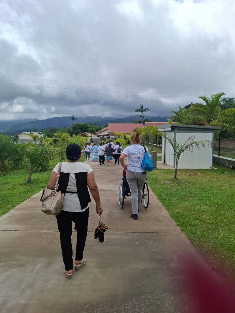 Description visuelle de l'image